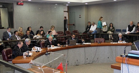 Sessão do Pleno ( Foto: Karina Camargos Coutinho)